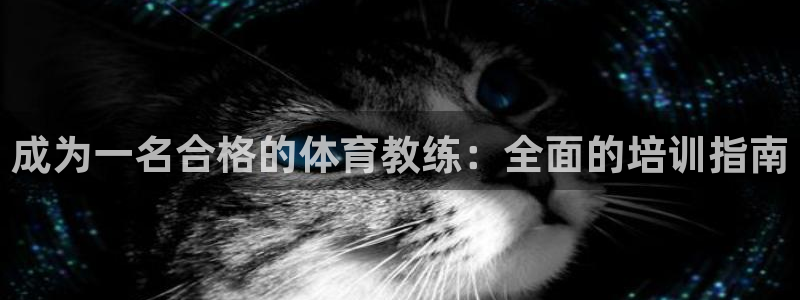 焦点娱乐拉菲11：成为一名合格的体育教练：全面的培训