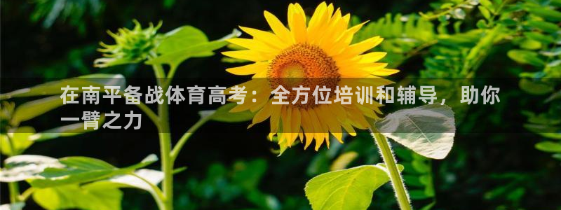 焦点娱乐怎么找