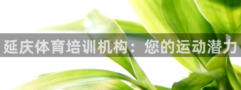 焦点娱乐不出款了吗：延庆体育培训机构：您的运动潜力