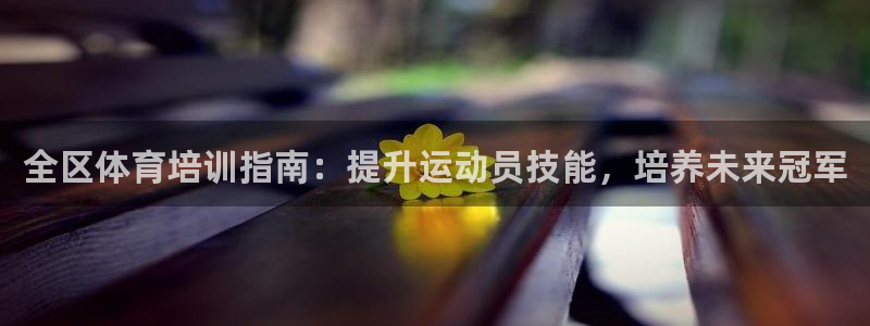 焦点娱乐全国总冠军都有谁：全区体育培训指南：提升运动