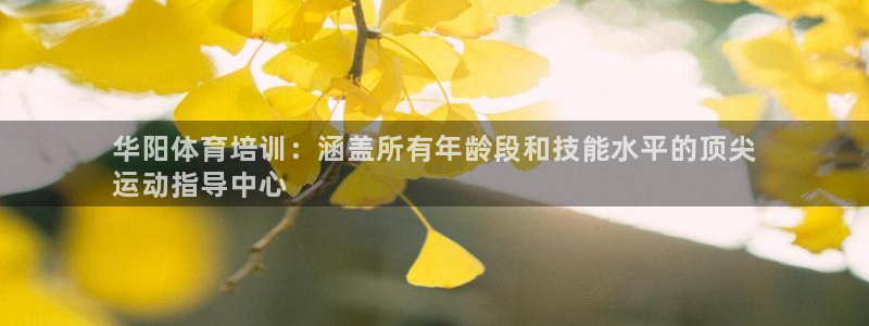 焦点娱乐是哪个公司的产品：华阳体育培训：涵盖所有年龄