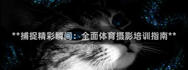 焦点娱乐官方网站入口下载安装：**捕捉精彩瞬间：全面