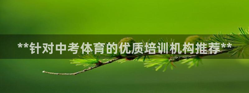 焦点娱乐负责人：**针对中考体育的优质培训机构推荐**