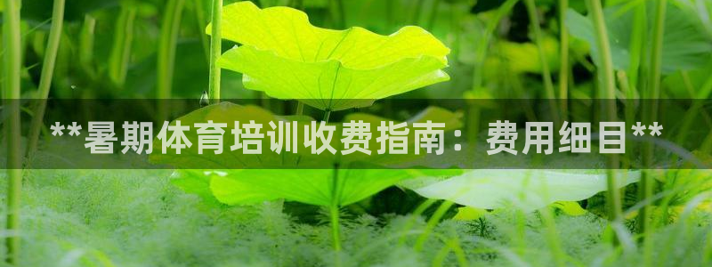 焦点娱乐官方网站首页：**暑期体育培训收费指南：费用