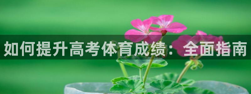 焦点娱乐平台登录不了：如何提升高考体育成绩：全面指南