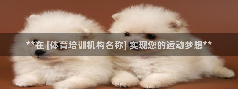 焦点娱乐传媒有限公司官网招聘：**在 [体育培训机构名称] 