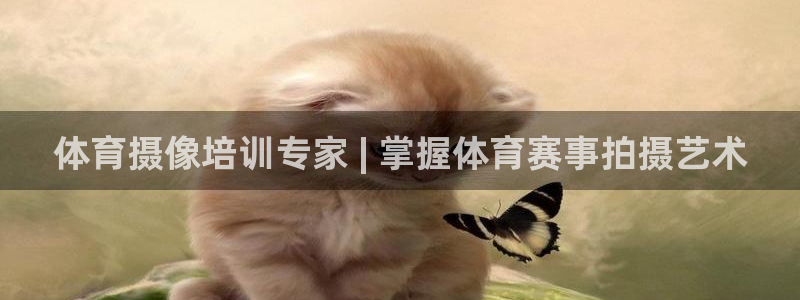 焦点娱乐无法提现：体育摄像培训专家 | 掌握体育赛事