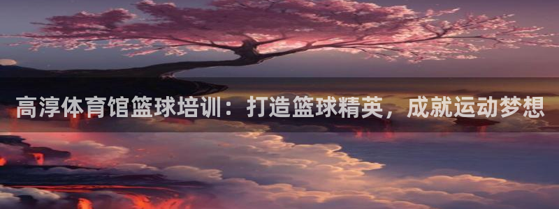 焦点娱乐带你走遍：高淳体育馆篮球培训：打造篮球精英，成就运动