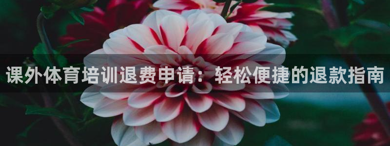 焦点娱乐拉菲11月11日：课外体育培训退费申请：轻松