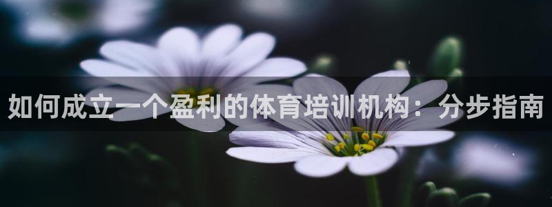 焦点娱乐是什么软件：如何成立一个盈利的体育培训机构：