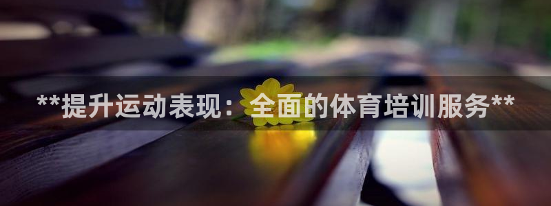 焦点娱乐下载手机版安装：**提升运动表现：全面的体育培训服务