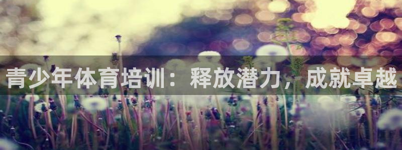 焦点娱乐公司的发展历程：青少年体育培训：释放潜力，成