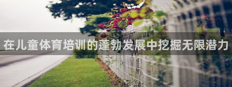 焦点娱乐传媒有限公司是干嘛的：在儿童体育培训的蓬勃发