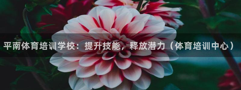 焦点娱乐如何注册账号：平南体育培训学校：提升技能，释