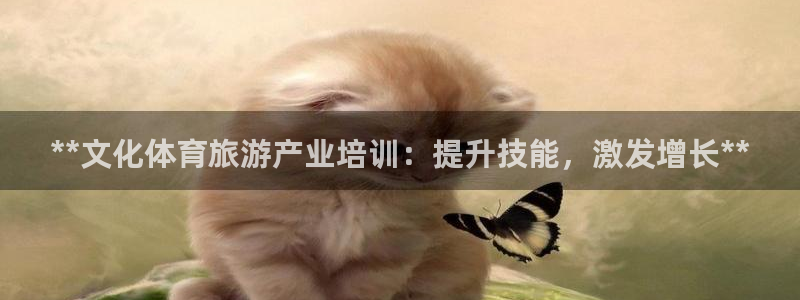 焦点娱乐怎么找不到了：**文化体育旅游产业培训：提升