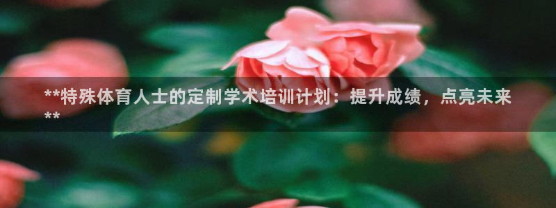焦点娱乐官方网站首页入口下载：**特殊体育人士的定制学术培训