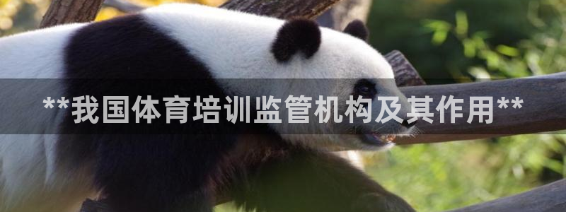 焦点娱乐官方网站下载安装：**我国体育培训监管机构及