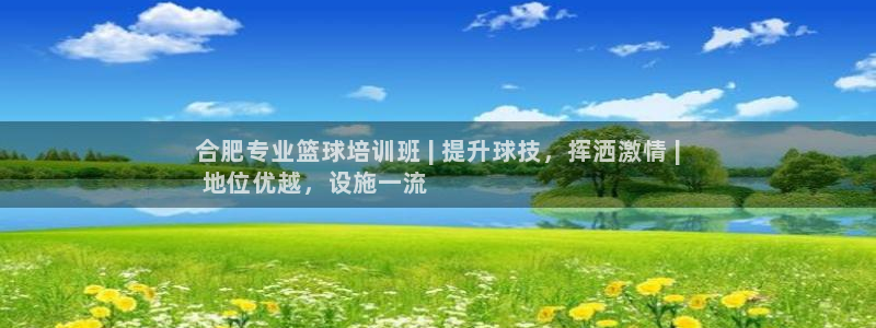 焦点娱乐无法提现怎么办：合肥专业篮球培训班 | 提升