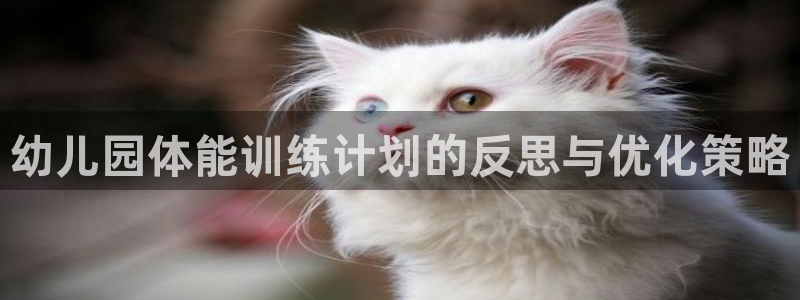 焦点娱乐加速器下载：幼儿园体能训练计划的反思与优化策