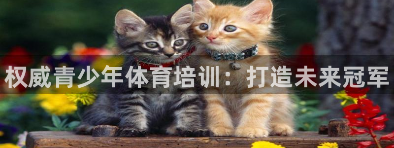 焦点娱乐是黑平台吗知乎：权威青少年体育培训：打造未来
