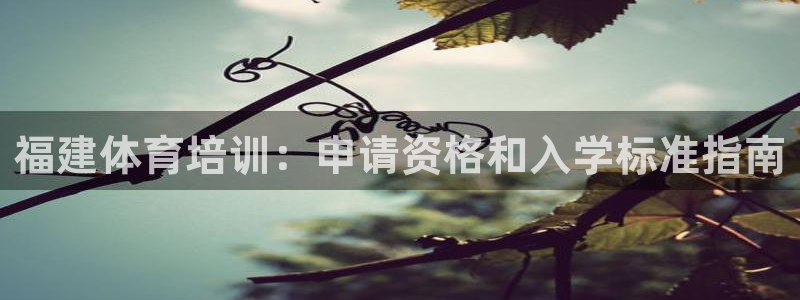 焦点娱乐无法提现：福建体育培训：申请资格和入学标准指