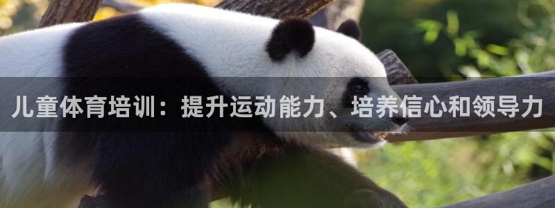 焦点娱乐传媒有限公司是干嘛的啊：儿童体育培训：提升运动能力、