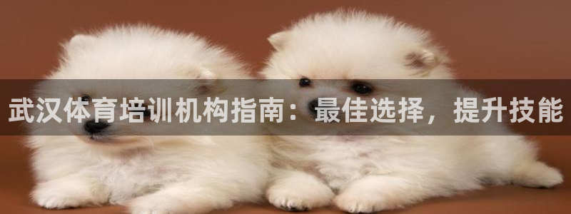 焦点娱乐ktv：武汉体育培训机构指南：最佳选择，提升技能