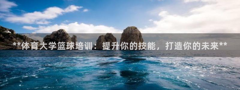 焦点娱乐公司简介怎么写：**体育大学篮球培训：提升你