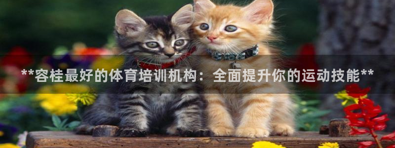 焦点娱乐app下载安装方式是什么：**容桂最好的体育