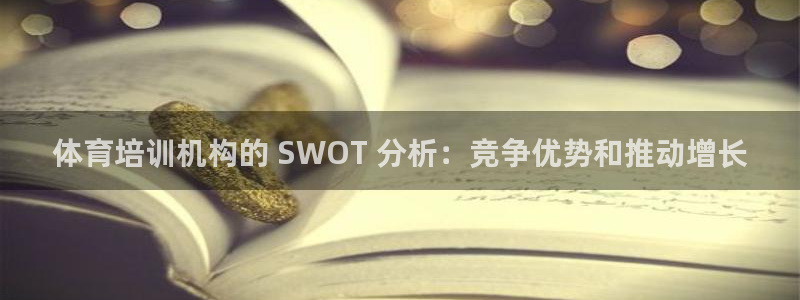 焦点娱乐官方网站下载安装最新版：体育培训机构的 SW