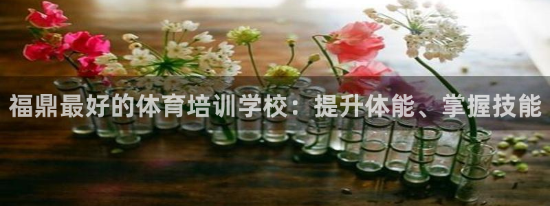焦点娱乐传媒有限公司怎么样知乎招聘：福鼎最好的体育培