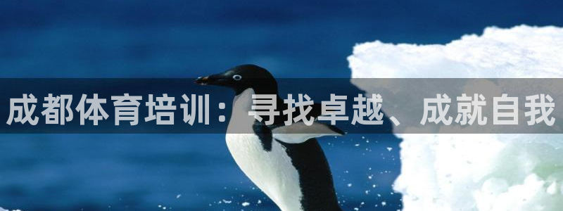 焦点娱乐股东持股比例：成都体育培训：寻找卓越、成就自