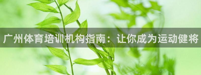 焦点娱乐可以解封银行卡吗：广州体育培训机构指南：让你