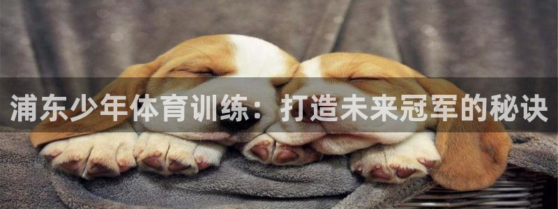 焦点娱乐拉菲：浦东少年体育训练：打造未来冠军的秘诀