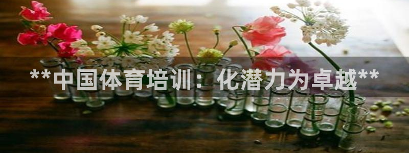 焦点娱乐直属：**中国体育培训：化潜力为卓越**