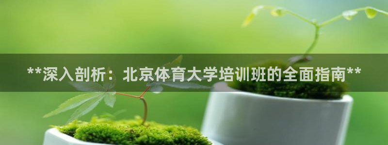 焦点娱乐如何注册账号登录：**深入剖析：北京体育大学
