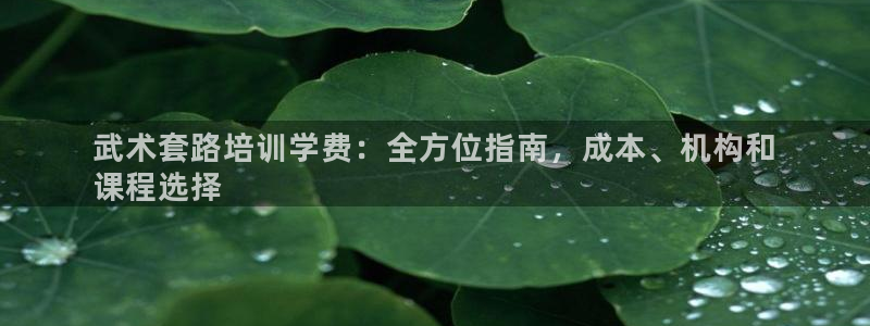 焦点娱乐拉菲11月9日：武术套路培训学费：全方位指南