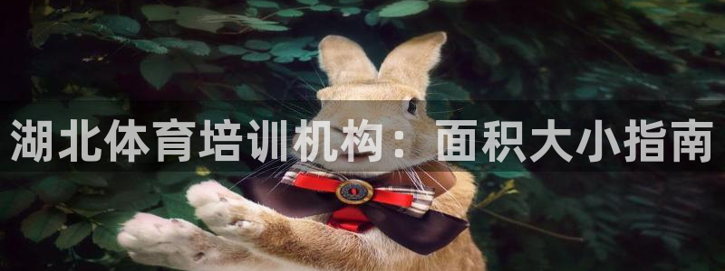 焦点娱乐ktv：湖北体育培训机构：面积大小指南