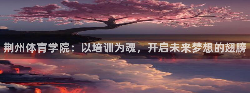 焦点娱乐待遇