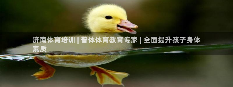 焦点娱乐vs皇族不败神话下载：济南体育培训 | 普体