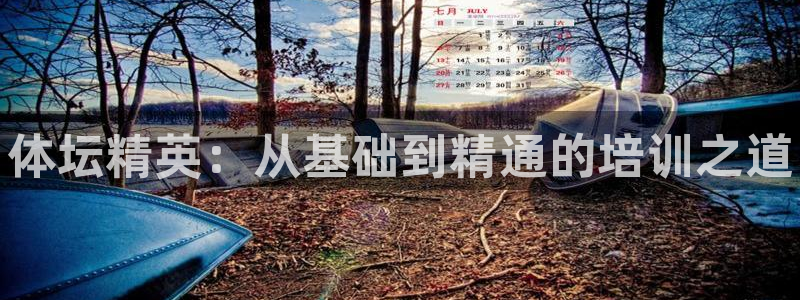 焦点娱乐传媒有限公司怎么样啊知乎