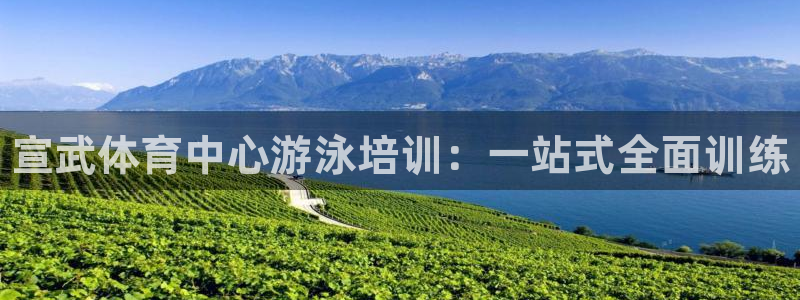 焦点娱乐官网首页下载：宣武体育中心游泳培训：一站式全面训练