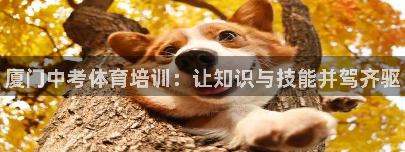 焦点娱乐怎么找客服：厦门中考体育培训：让知识与技能并