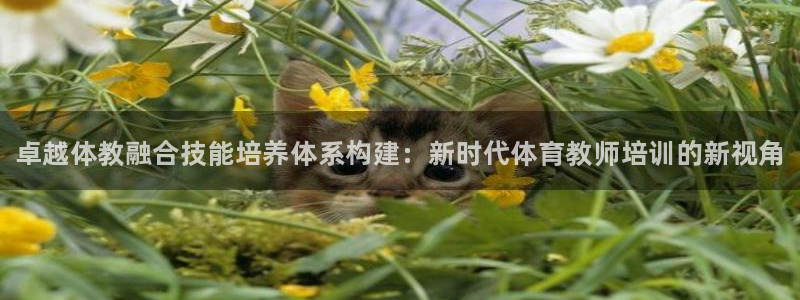 焦点娱乐如何注册账号的：卓越体教融合技能培养体系构建