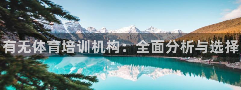 焦点娱乐是拉菲公司的吗知乎：有无体育培训机构：全面分