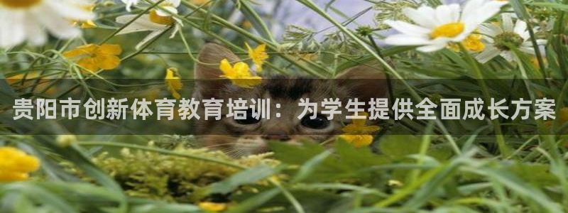 焦点娱乐可以解封银行卡吗是真的吗：贵阳市创新体育教育