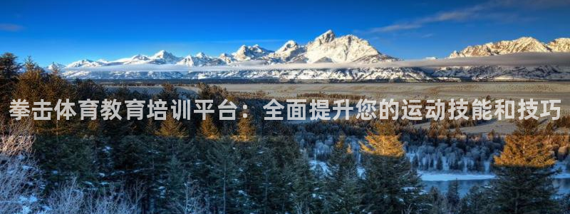 焦点娱乐跨服：拳击体育教育培训平台：全面提升您的运动技能和技