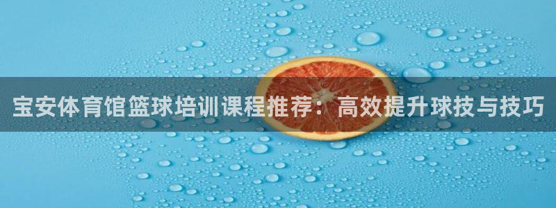 焦点娱乐app下载：宝安体育馆篮球培训课程推荐：高效