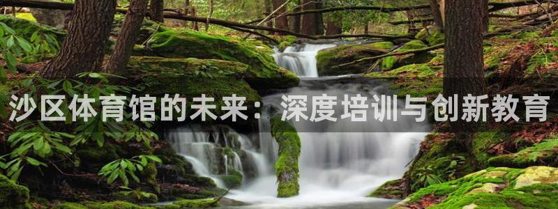 焦点娱乐平台注册账号怎么注销掉：沙区体育馆的未来：深度培训与