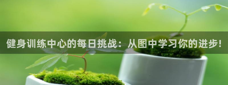 焦点娱乐app下载安装苹果：健身训练中心的每日挑战：从图中学